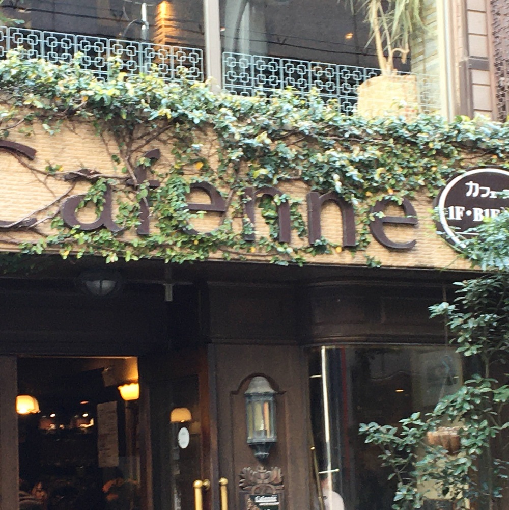 ツタの葉がおしゃれな建物 スタッフブログ 栄建 名古屋 長久手 日進のfpの家 高断熱注文住宅 ツタの葉がおしゃれな建物 スタッフブログ 栄建 名古屋 長久手 日進のfpの家 高断熱注文住宅